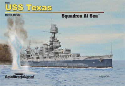 USS Texas Squadron At Sea