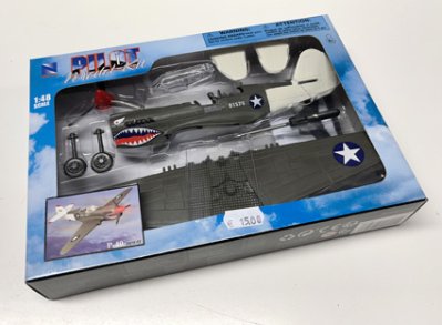 P-40 (Pilot Model Kit)