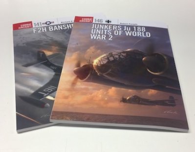 Combat Aircraft