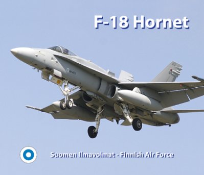 Hiirimatto: F-18 Hornet