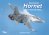 Suomen Ilmavoimien HORNET, on se niin nätti...