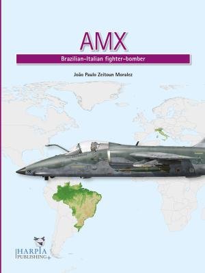 AMX | Brazilian-Italian Fighter-Bomber