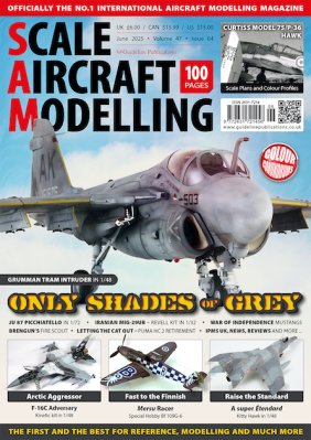 Scale Aircraft Modelling (June 2025)