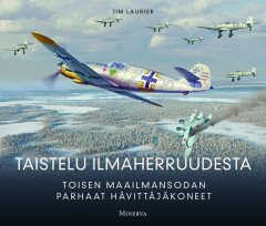 Taistelu ilmaherruudesta