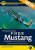 North American P-51D/K Mustang